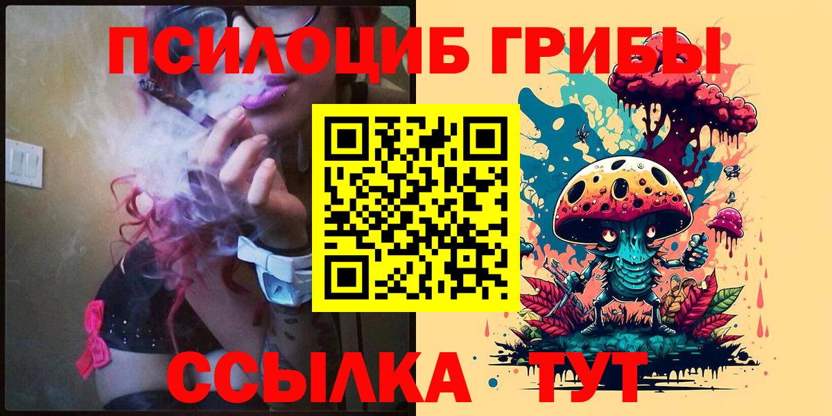 Карачаевск  Галлюциногенные грибы Psilocybe  Вход с VPN 